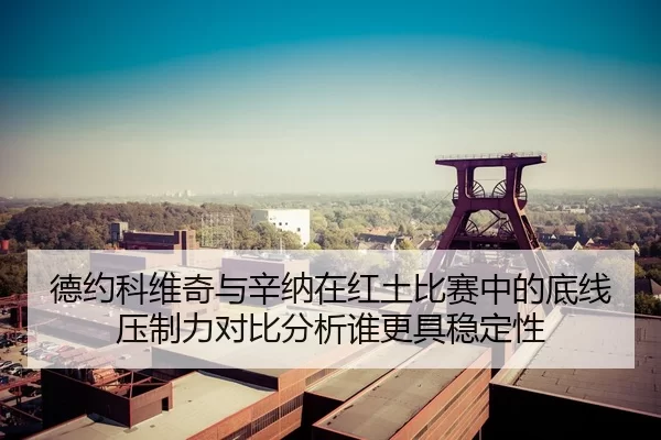 德约科维奇与辛纳在红土比赛中的底线压制力对比分析谁更具稳定性