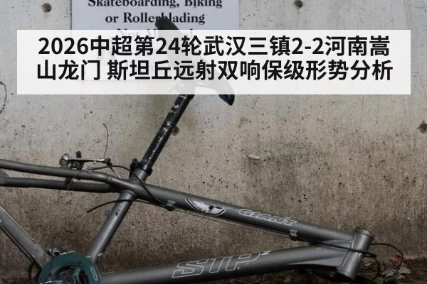 2026中超第24轮武汉三镇2-2河南嵩山龙门 斯坦丘远射双响保级形势分析
