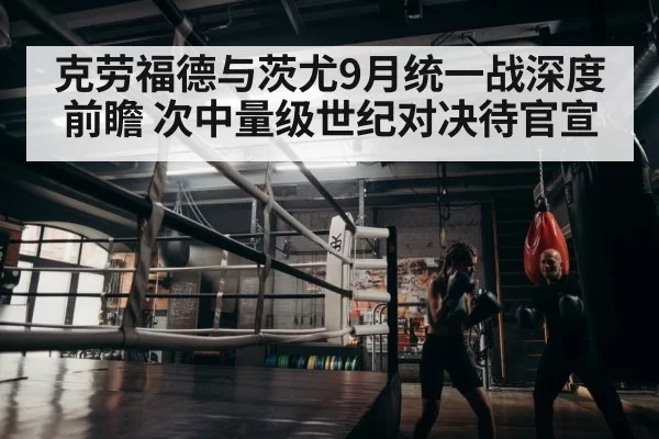 boxer training