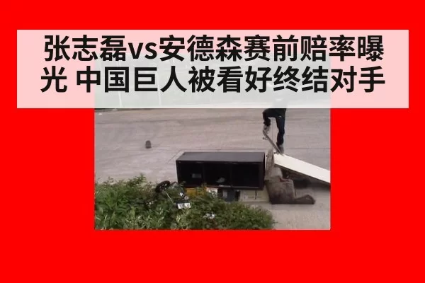 张志磊vs安德森赛前赔率曝光 中国巨人被看好终结对手